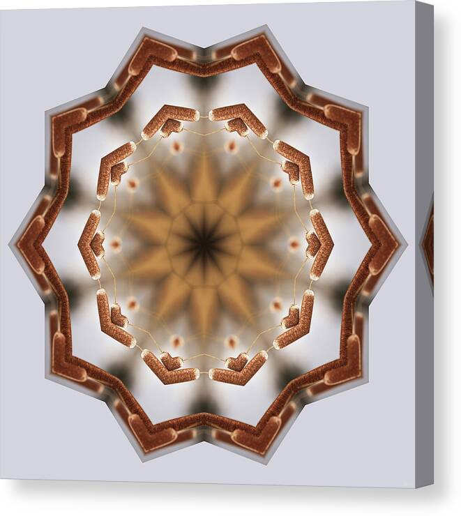 Cattail Canvas Print featuring the photograph CattailiattaC- Kaleidoscope Mandala of Cattail pair by Peter Herman
