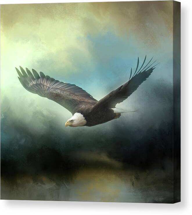 Bald Eagle Canvas Print featuring the photograph Mission Accomplished by Jai Johnson