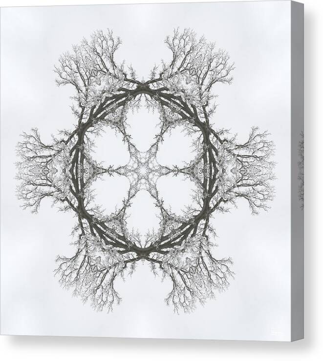 Oak Canvas Print featuring the photograph SnOAKflake - Snow covered oak tree in winter as through kaleidoscope by Peter Herman