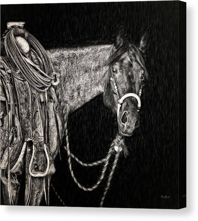 Roan Canvas Print featuring the photograph The Roan by Phyllis Burchett