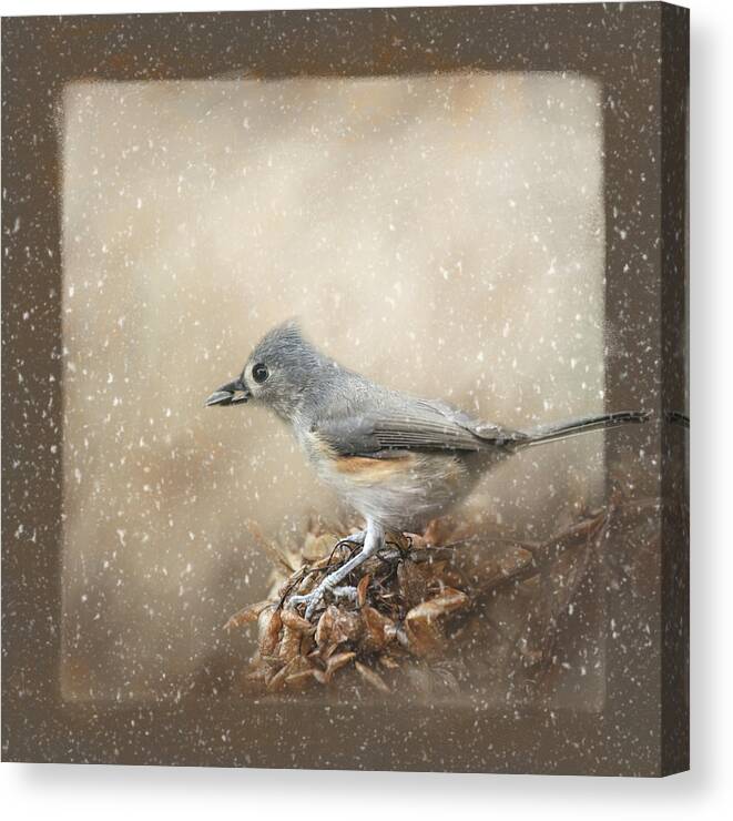 Backyard Birds Canvas Print featuring the photograph Winter Gathering by Jai Johnson