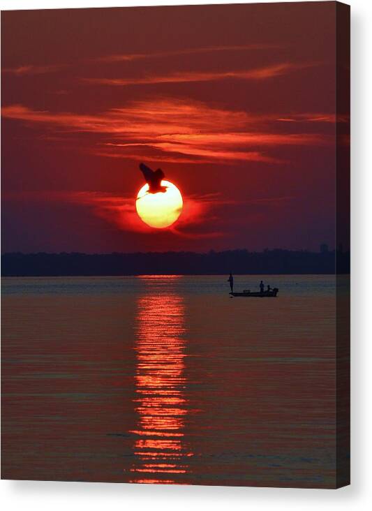 Avian Canvas Print featuring the photograph Sunset Fishing by Billy Beck