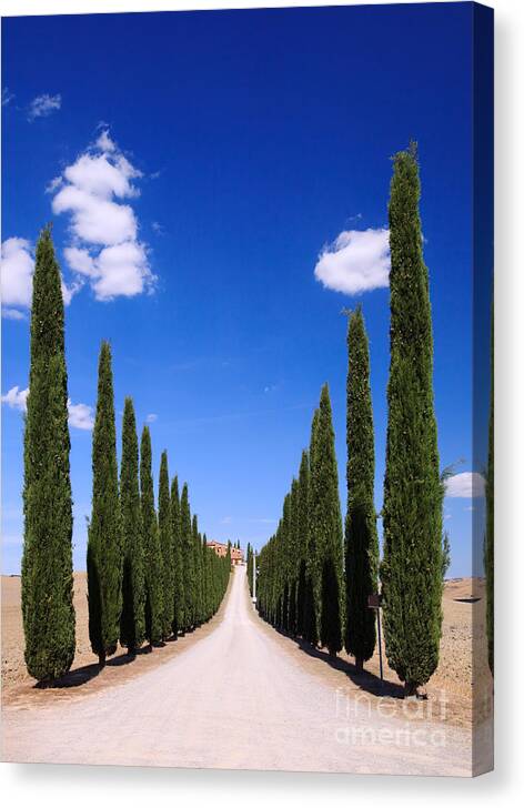 Idyllic Canvas Print featuring the photograph Entrance to villa Tuscany - Italy by Matteo Colombo
