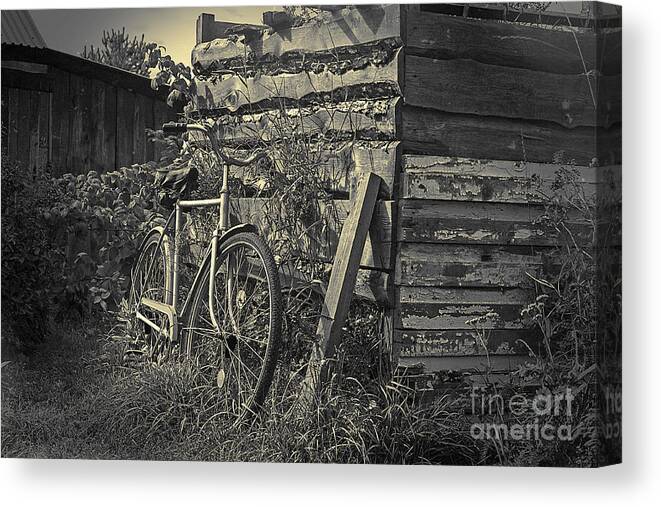  Canvas Print featuring the pyrography Bicycle by Evgeniy Lankin