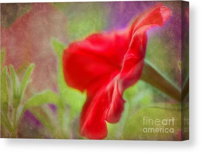 Macro Canvas Print featuring the photograph My Pretty Petunia by Peggy Franz