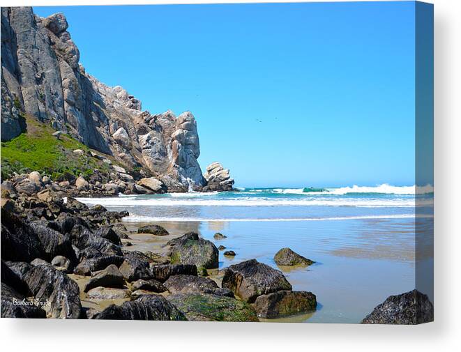 Barbara Snyder Canvas Print featuring the photograph A Piece Of The Rock At Morro Bay 3 #1 by Barbara Snyder