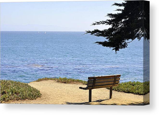 Scenic Canvas Print featuring the photograph A View to See by AJ Schibig