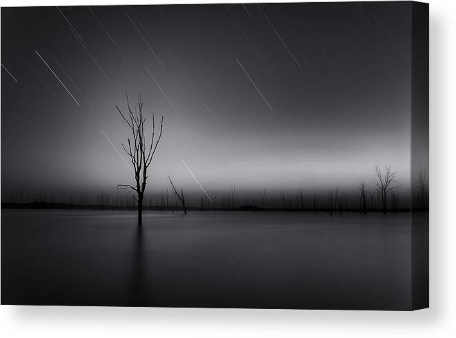 Bw Canvas Print featuring the photograph Alive #1 by Taylor Franta