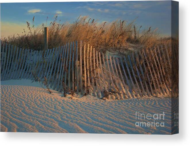 Beach Dunes Canvas Print featuring the photograph Beach Dunes #1 by Amazing Jules