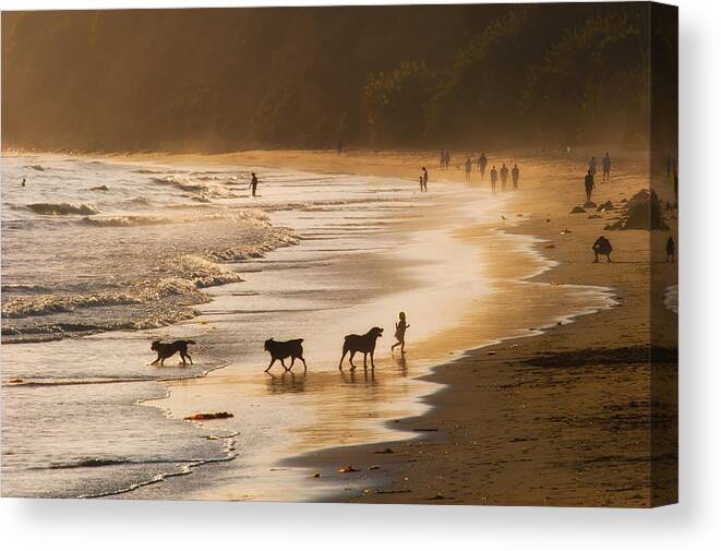 Beach Canvas Print featuring the photograph Beach Fun #1 by Joan Herwig