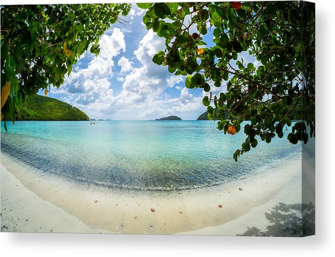 Caribbean Canvas Print featuring the photograph Beautiful Caribbean beach by Raul Rodriguez