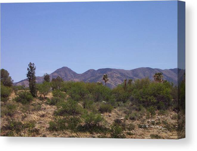 Buildings Canvas Print featuring the photograph Biosphere View #1 by R B Harper