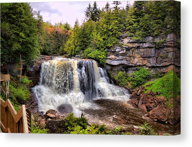 Blackwater Falls State Park Canvas Print featuring the photograph Blackwater Falls SP #3 by Mary Almond