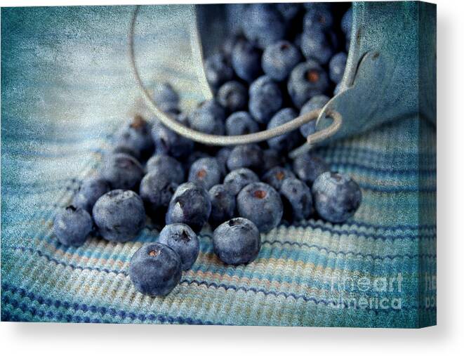 Texture Canvas Print featuring the photograph Blueberries #1 by Darren Fisher
