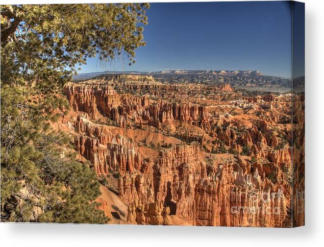 Bryce Canyon Canvas Print featuring the photograph Bryce Canyon #1 by Marc Bittan