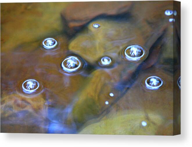 Bubbles Canvas Print featuring the photograph Bubbles Floating 3 #1 by James Knight