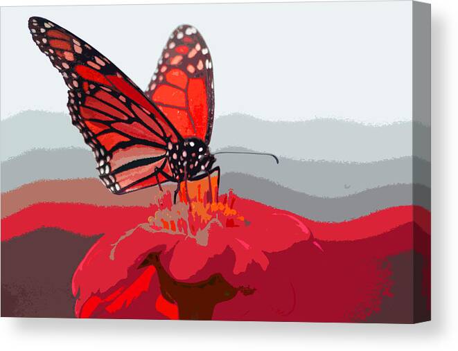 Butterfly Canvas Print featuring the photograph Butterfly #1 by Carol McCarty