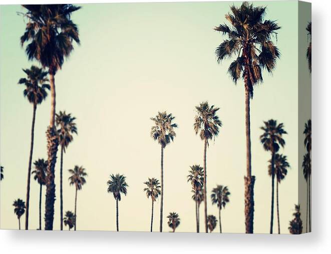California Canvas Print featuring the photograph California Love #1 by Bree Madden 