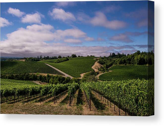 Scenics Canvas Print featuring the photograph California Wine Producers Expecting #1 by George Rose