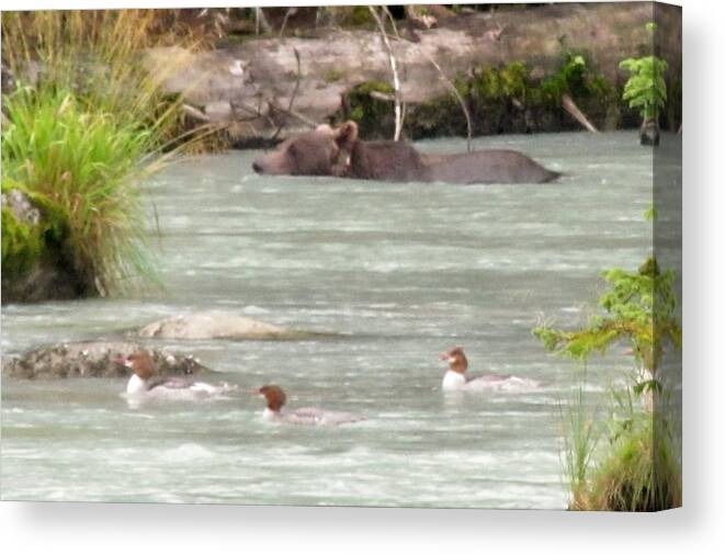 Bear Canvas Print featuring the photograph Chilcoot River #1 by Lisa Dunn
