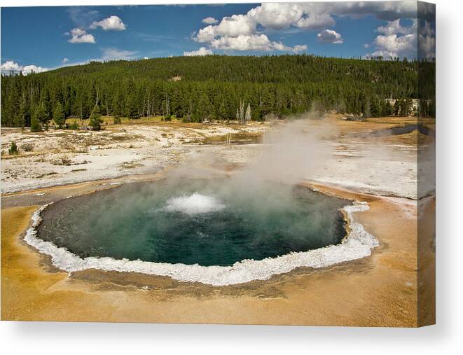 Aqua Canvas Print featuring the photograph Crested Pool, Upper Geyser Basin #1 by Michel Hersen