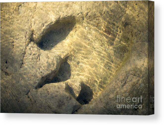 Dinosaur Footprint Canvas Print featuring the photograph Dinosaur Footprint under Water by Imagery by Charly
