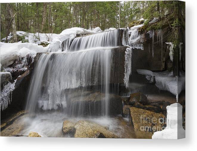 Brook Canvas Print featuring the photograph Brook - White Mountains New Hampshire by Erin Paul Donovan