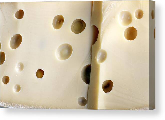 Emmental cheese Canvas Print