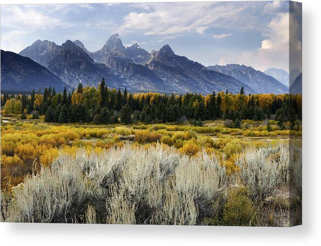 Wyoming Canvas Print featuring the photograph Fall in the Tetons #1 by Eric Foltz