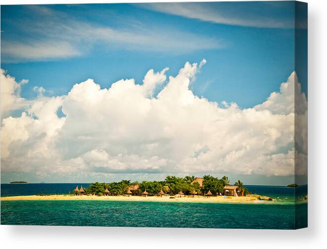 Tropical Tree Canvas Print featuring the photograph Fiji #1 by Steve Bly