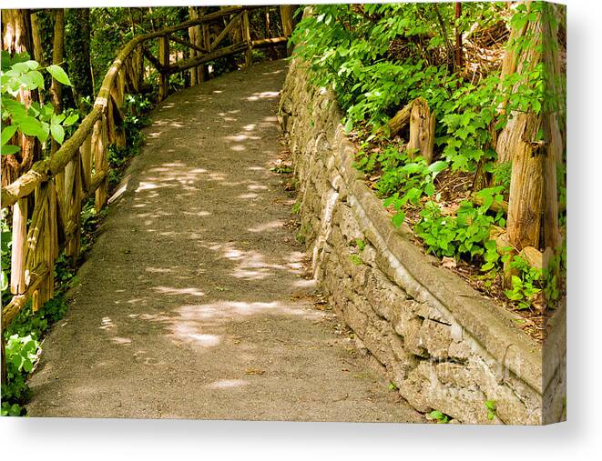 Forest Canvas Print featuring the photograph Garden path #1 by Les Palenik