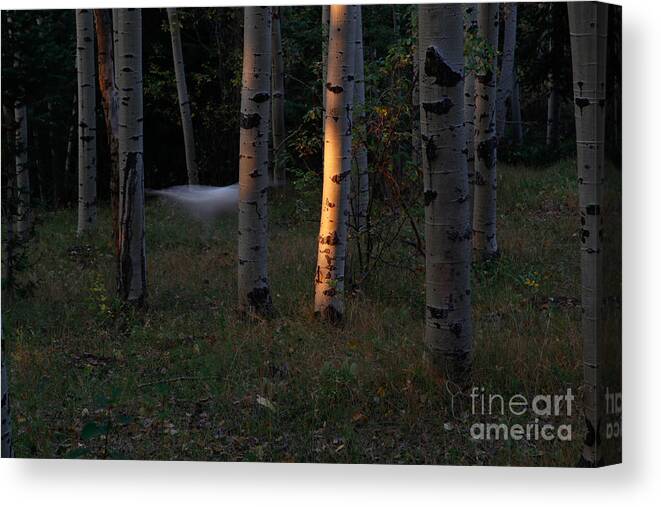 Halloween Canvas Print featuring the photograph Ghostly Apparition by Roselynne Broussard