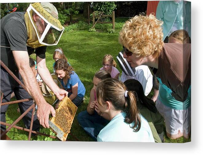 Small Group Of People Canvas Print featuring the photograph Girl Scouts Learning About Honey Bees #1 by Jim West