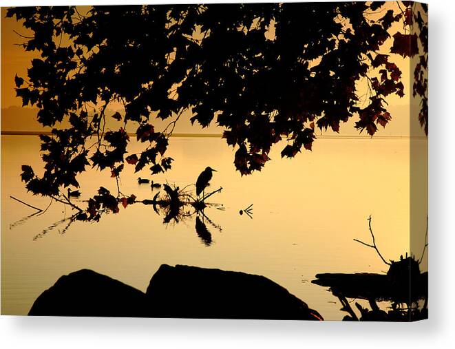 Sunrise Canvas Print featuring the photograph Golden Morning II #1 by Steven Ainsworth