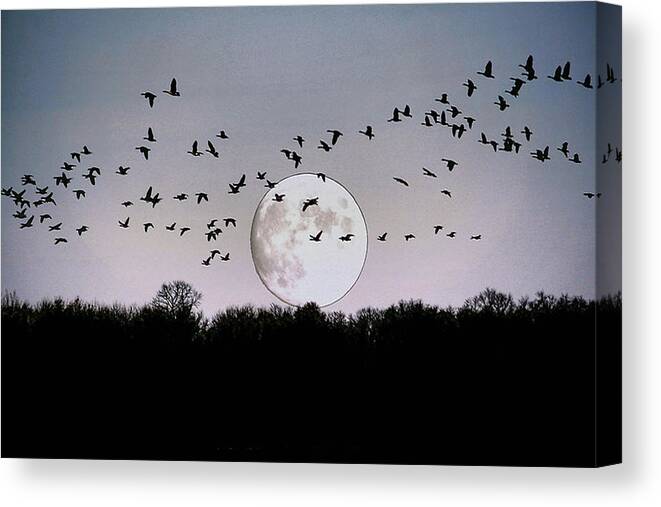 Moon Canvas Print featuring the photograph Guided by the Moon #1 by Larry Trupp