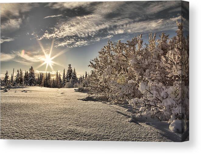 Alaska Canvas Print featuring the photograph Here Comes the Sun #1 by Michele Cornelius