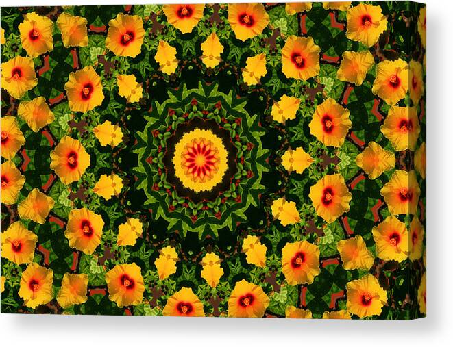 Hibiscus Canvas Print featuring the photograph Hibiscus Kaleidoscope by Bill Barber