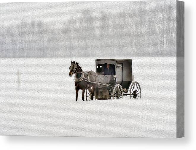Horse Canvas Print featuring the photograph Horse and buggy in snow storm by Dan Friend