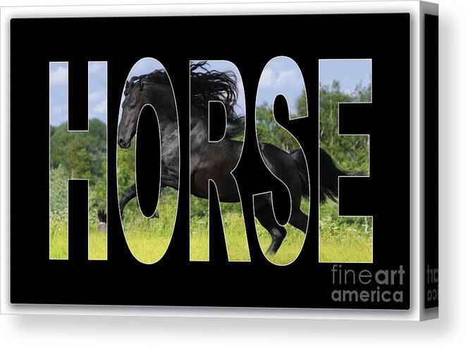 Horse Art Canvas Print featuring the mixed media Horse #1 by Marvin Blaine