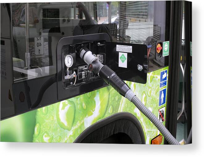 21st Century Canvas Print featuring the photograph Hydrogen fuel cell bus #1 by Science Photo Library