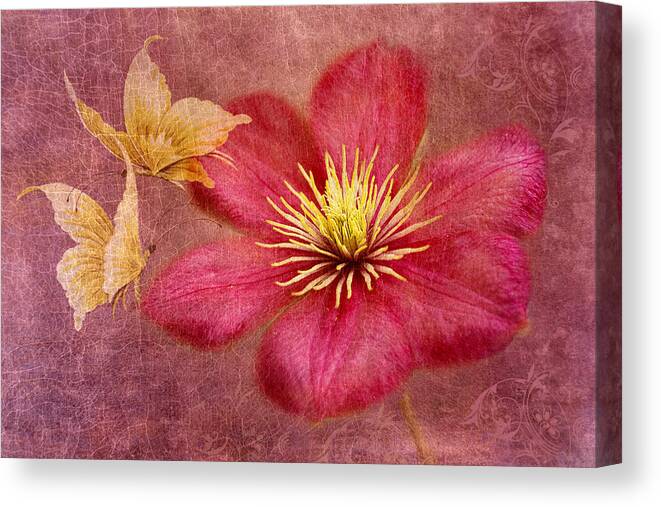 Pink Clematis Flower Canvas Print featuring the photograph In Dance by Marina Kojukhova