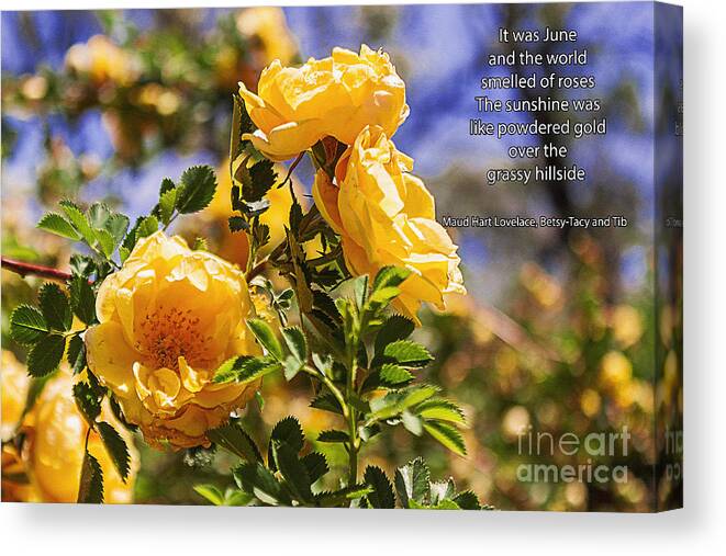 Crazy Woman Art Canvas Print featuring the photograph It Was June #2 by Janice Pariza