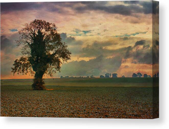 Arbre Canvas Print featuring the photograph L'Arbre #2 by Jean-Pierre Ducondi