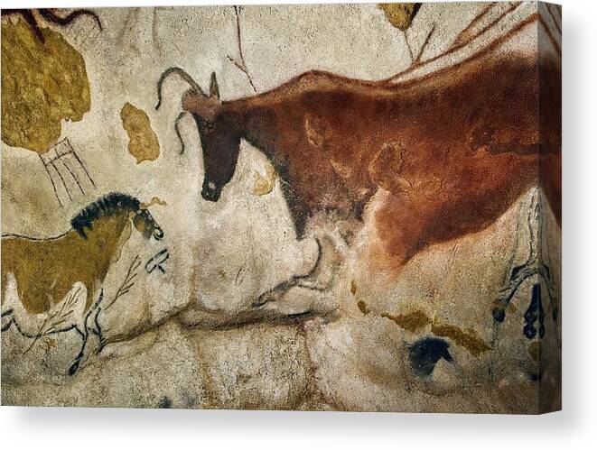 Cave Painting Canvas Print featuring the photograph Lascaux II cave painting replica #1 by Science Photo Library