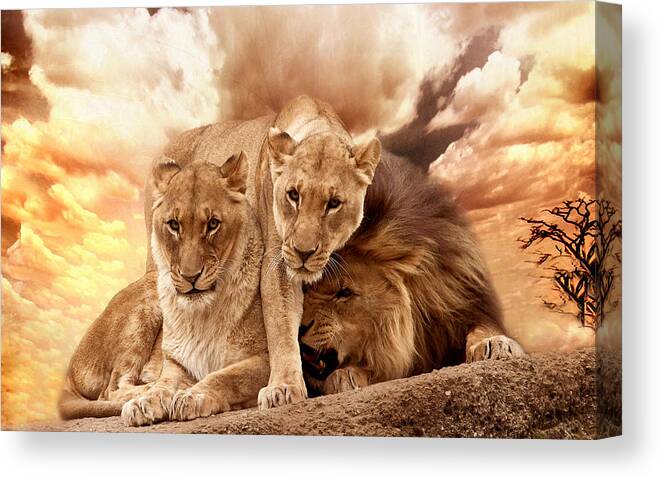 Lion Canvas Print featuring the photograph Lions #1 by Christine Sponchia
