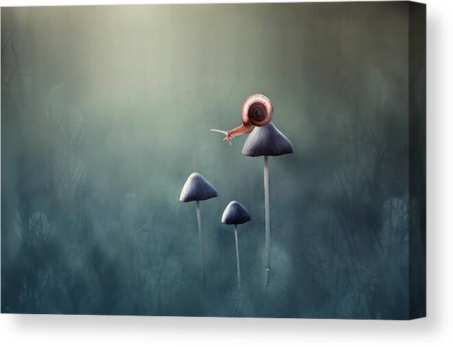 Macro Canvas Print featuring the photograph Lonely by Edy Pamungkas