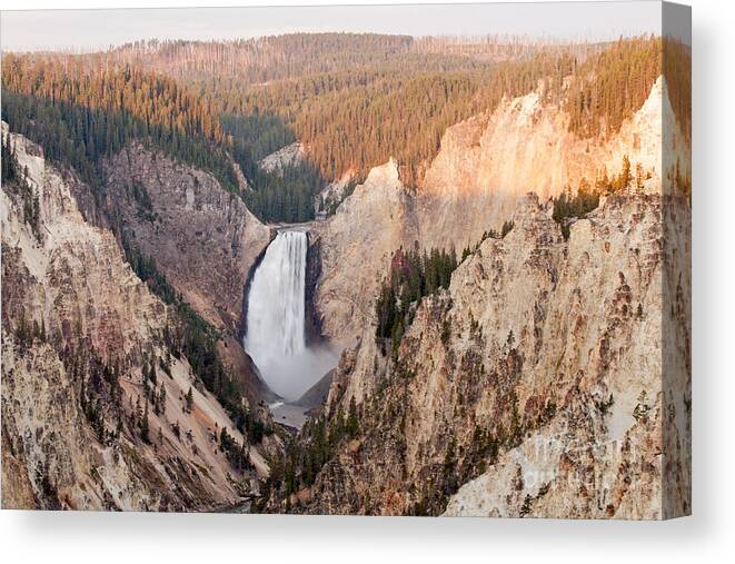 Artist Point Canvas Print featuring the photograph Lower Yellowstone Falls on the Yellowstone River at Artist Point #1 by Fred Stearns