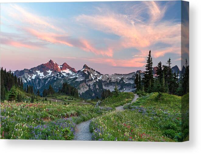 Alpine Canvas Print featuring the photograph Mazama Ridge Wildflowers by Michael Russell