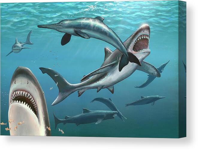 Aggressive Canvas Print featuring the photograph Megalodon Prehistoric Shark #1 by Richard Bizley