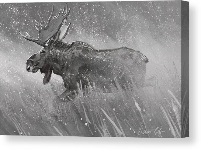  Canvas Print featuring the digital art Moose Sketch by Aaron Blaise